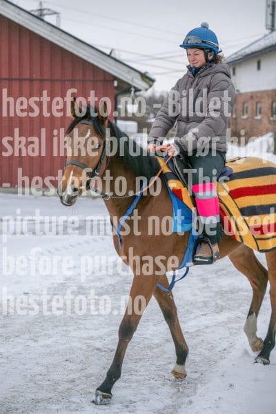 20260207-100157-DSC_2323