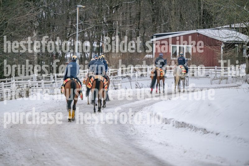 20260207-100219-DSC_2365