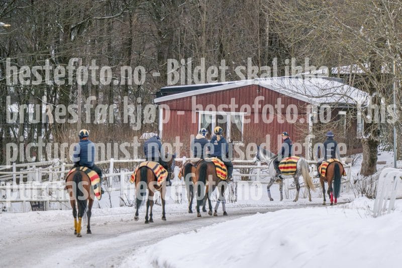 20260207-100231-DSC_2414