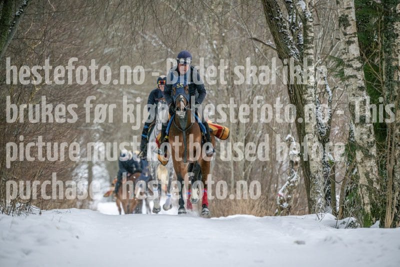 20260207-102426-DSC_2505