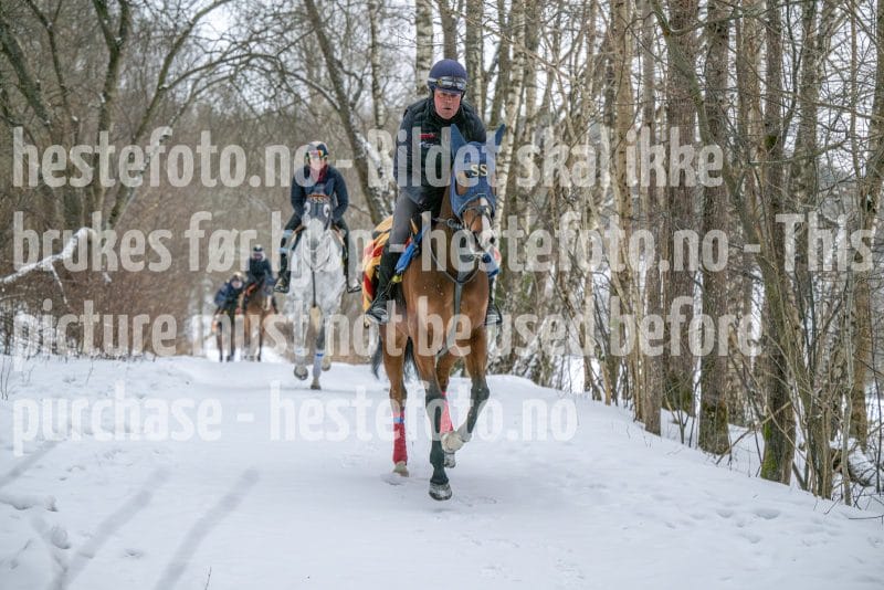 20260207-102430-DSC_2525