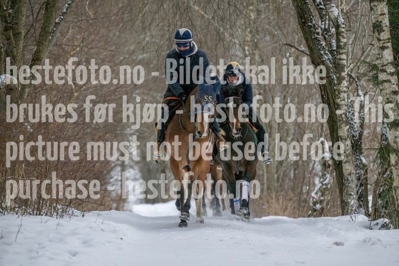 20260207-102433-DSC_2560