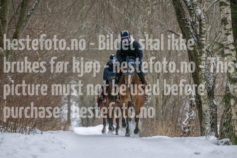 20260207-102432-DSC_2552