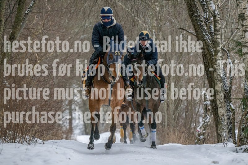 20260207-102433-DSC_2565