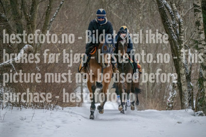 20260207-102434-DSC_2577