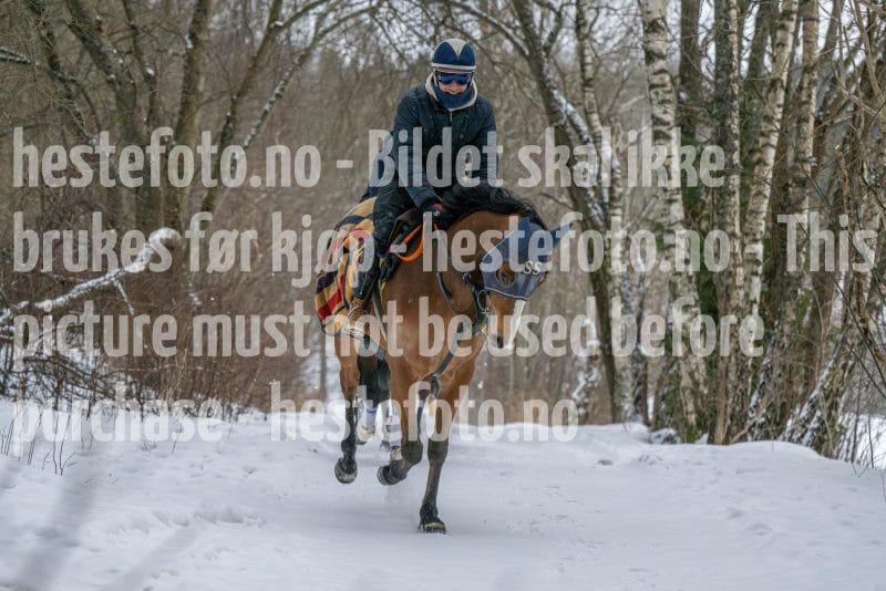 20260207-102435-DSC_2593