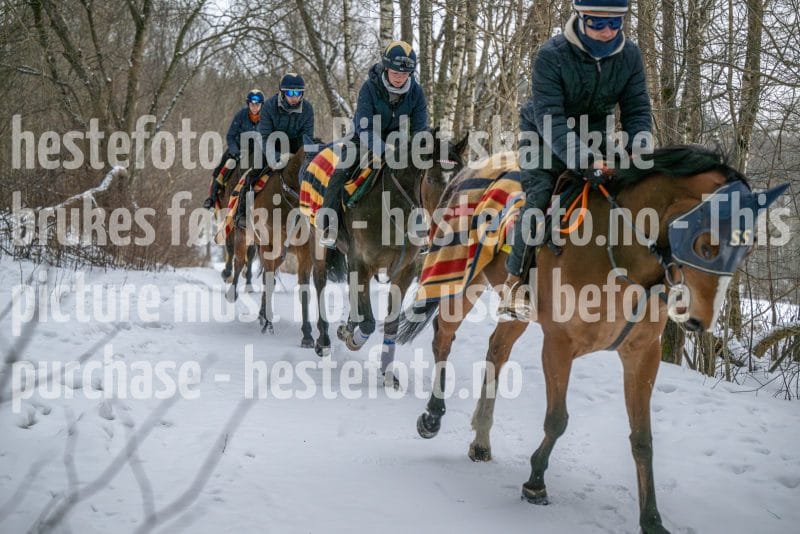 20260207-102437-DSC_2609