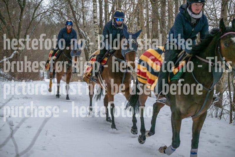 20260207-102438-DSC_2624