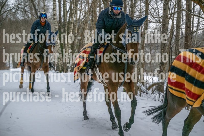 20260207-102438-DSC_2634