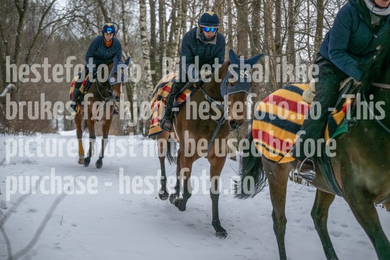 20260207-102438-DSC_2628