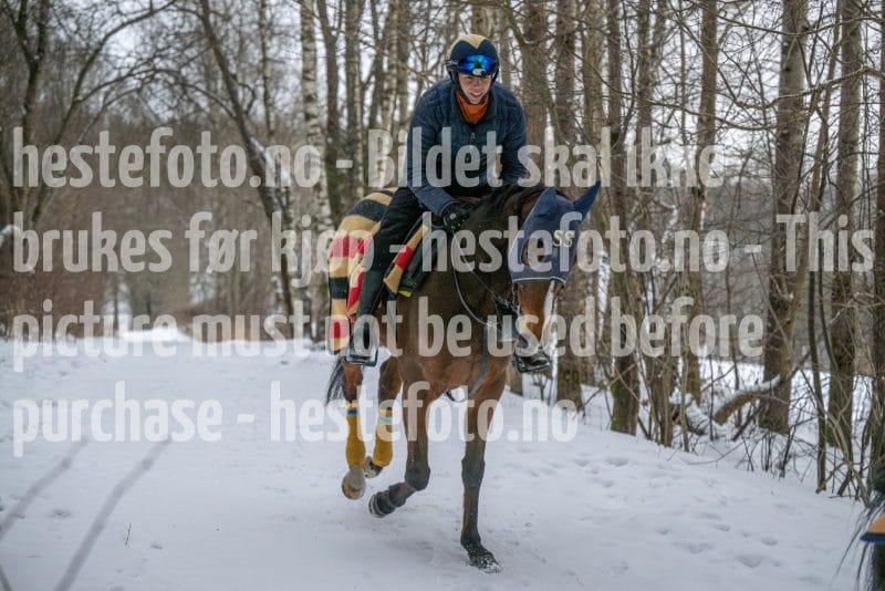 20260207-102439-DSC_2643