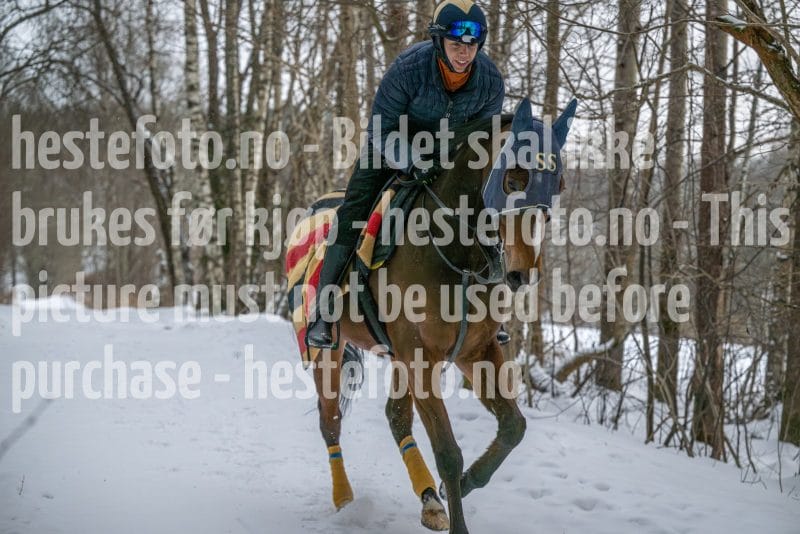 20260207-102439-DSC_2648