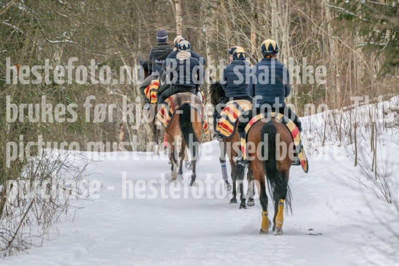 20260207-102502-DSC_2713