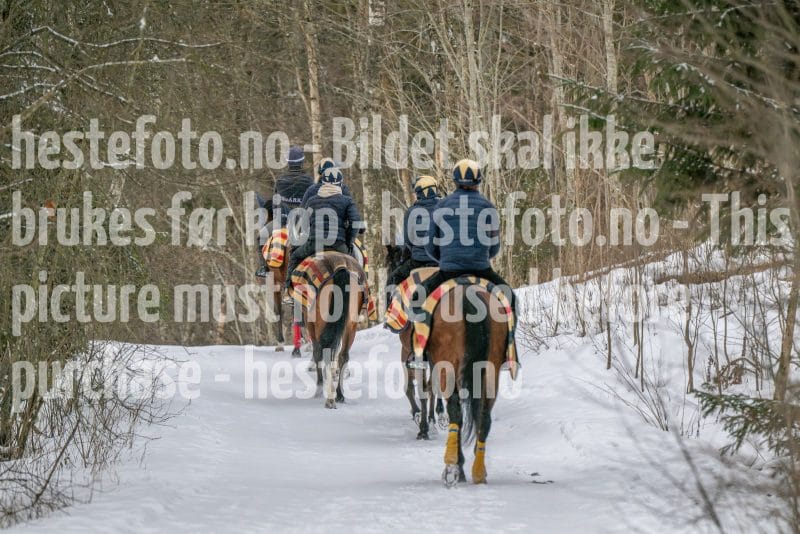 20260207-102502-DSC_2704