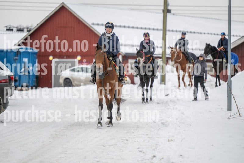 20260207-122610-DSC_2795