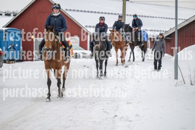 20260207-122612-DSC_2806