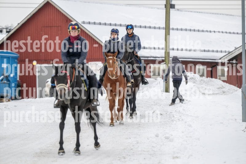 20260207-122619-DSC_2836