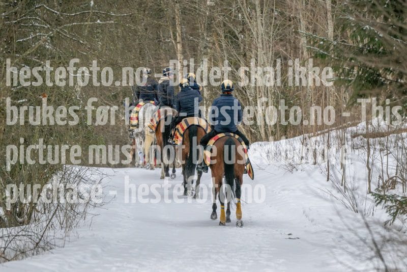 20260207-102506-DSC_2743