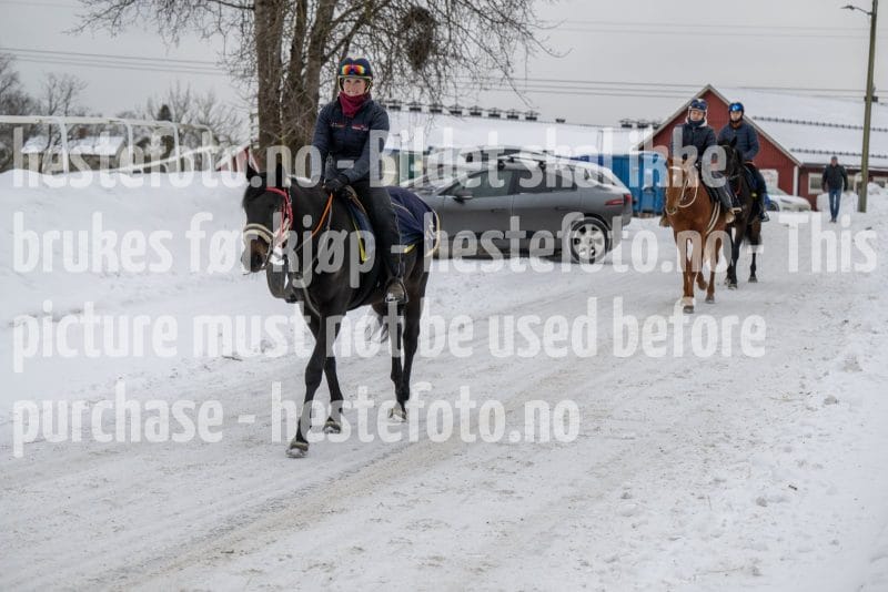 20260207-122628-DSC_2871