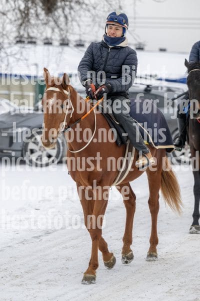 20260207-122633-DSC_2888