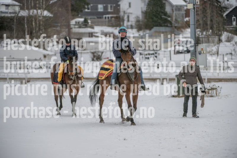 20260207-123455-DSC_2944