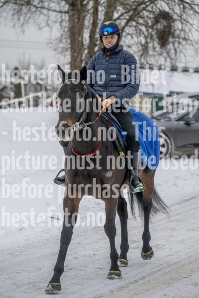 20260207-122637-DSC_2922