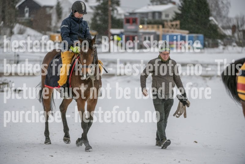 20260207-123507-DSC_2990