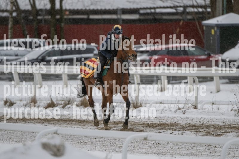 20260207-123816-DSC_3044