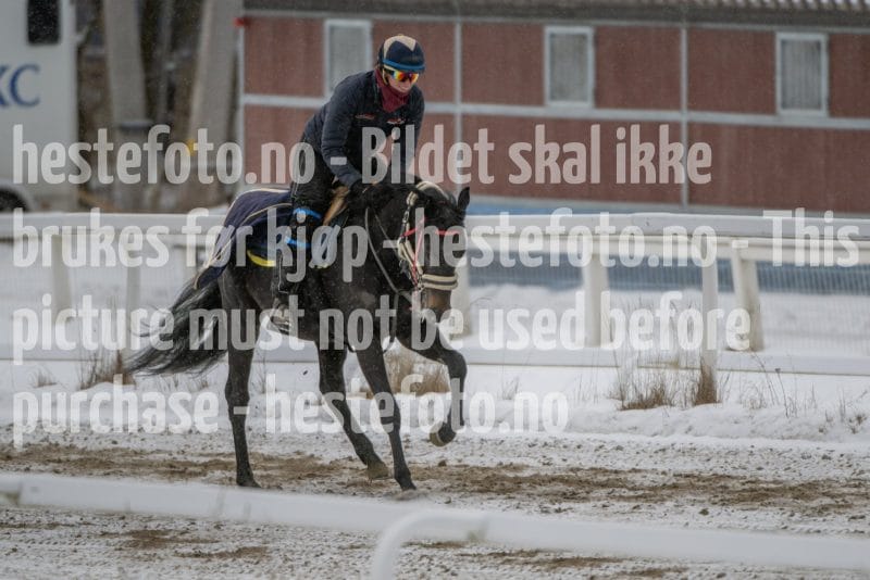 20260207-123820-DSC_3080