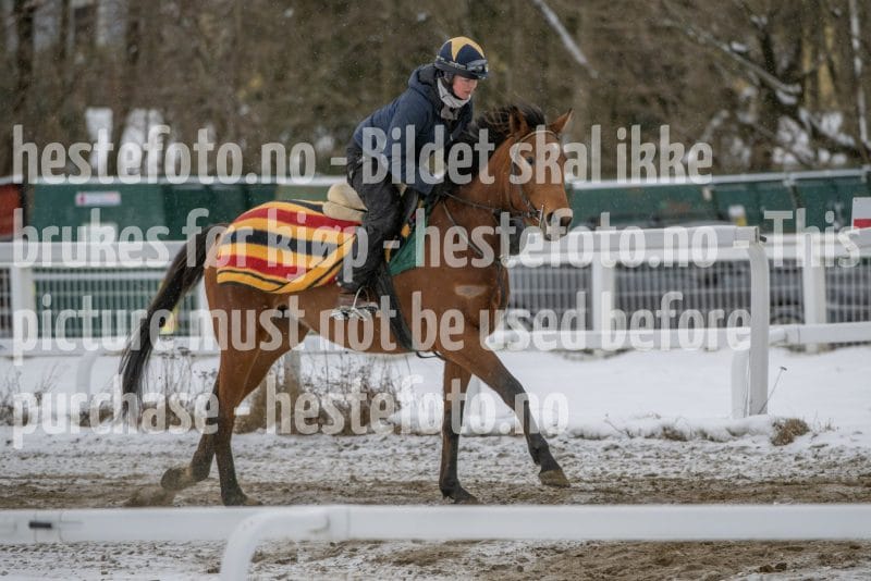 20260207-123824-DSC_3102