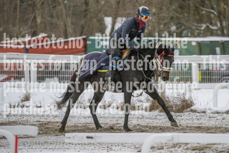 20260207-123826-DSC_3117