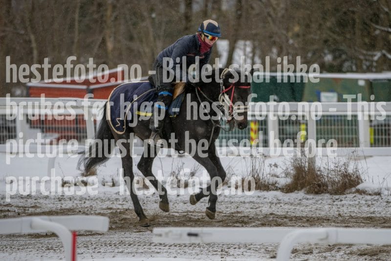 20260207-123825-DSC_3113