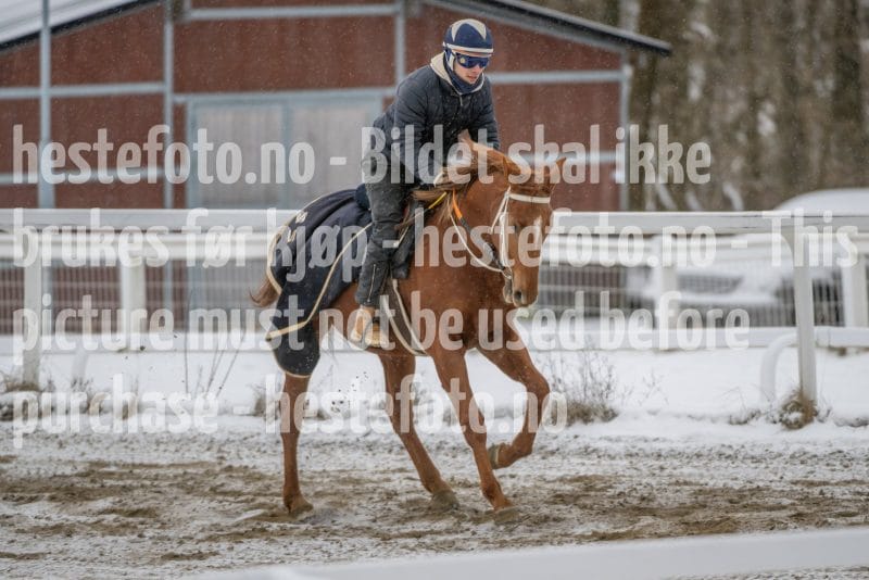 20260207-123829-DSC_3137