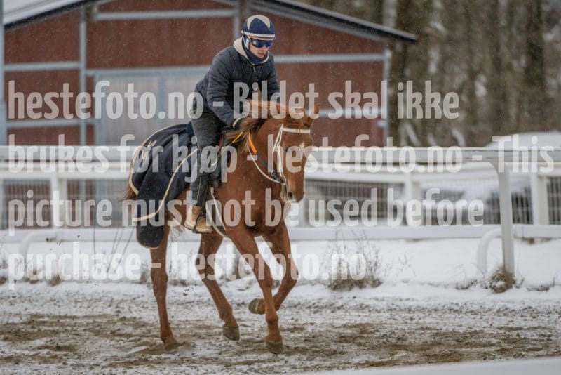 20260207-123829-DSC_3136