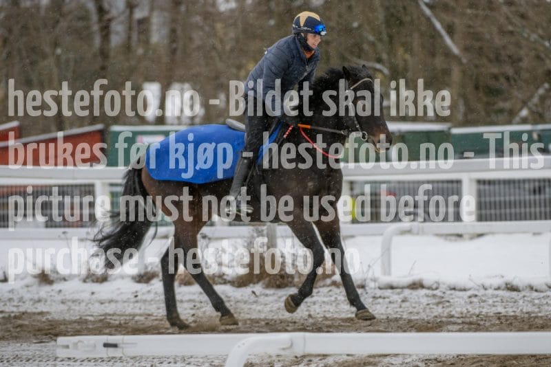 20260207-123832-DSC_3162