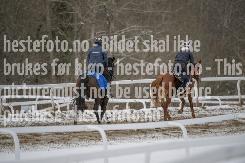 20260207-123849-DSC_3215