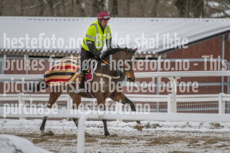 20260207-123952-DSC_3246