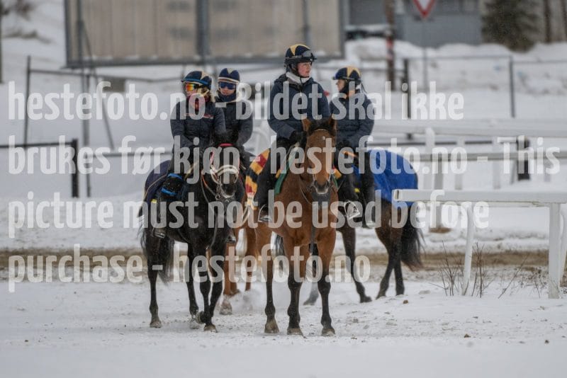 20260207-124144-DSC_3379