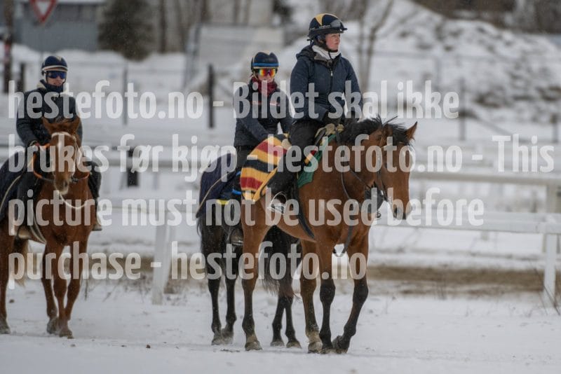 20260207-124152-DSC_3433