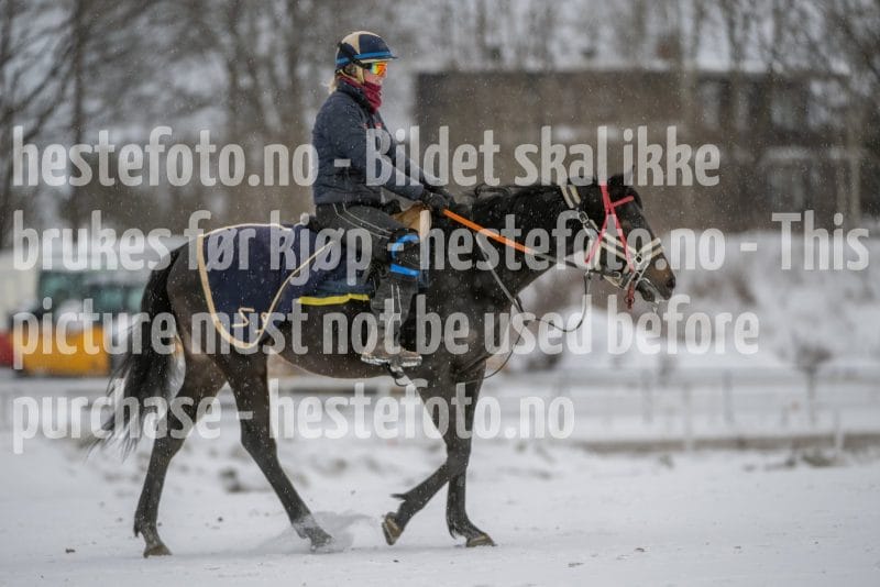 20260207-124223-DSC_3530