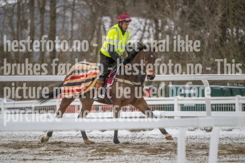 20260207-123954-DSC_3256