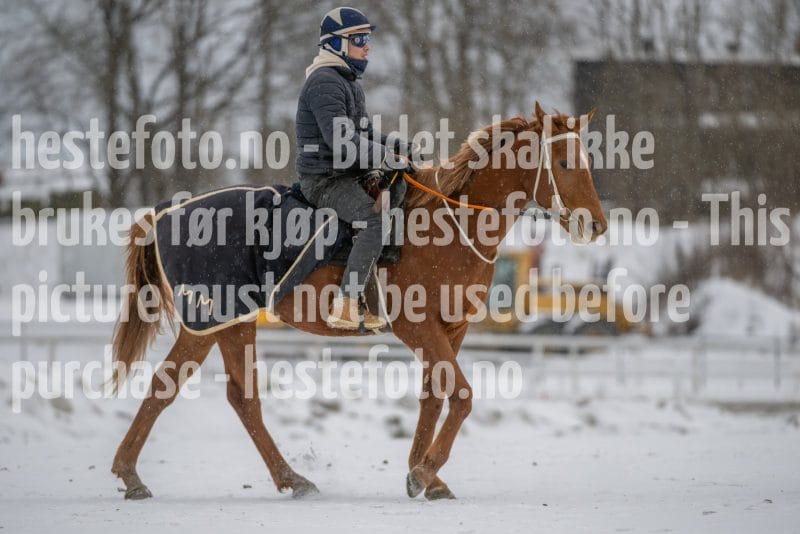 20260207-124225-DSC_3542