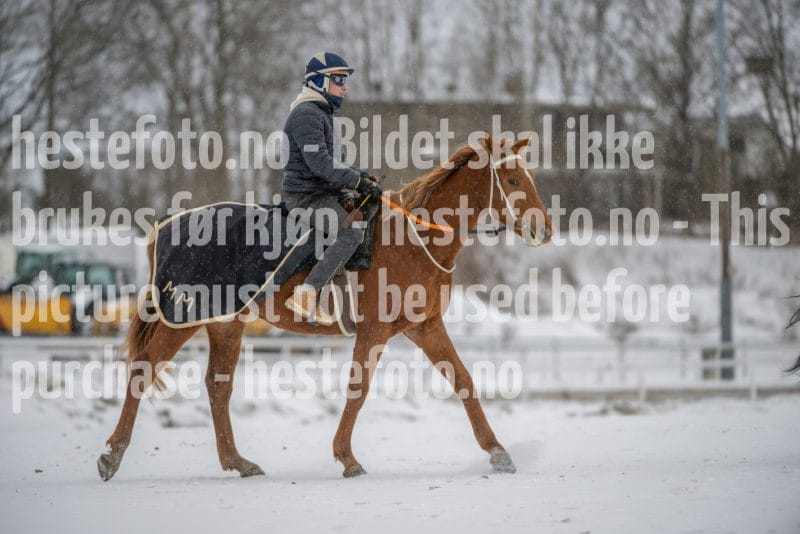 20260207-124226-DSC_3549