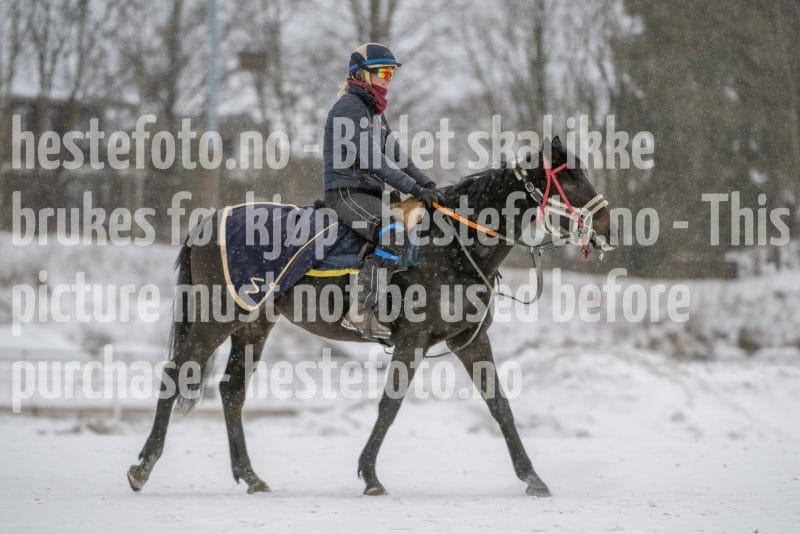 20260207-124309-DSC_3616