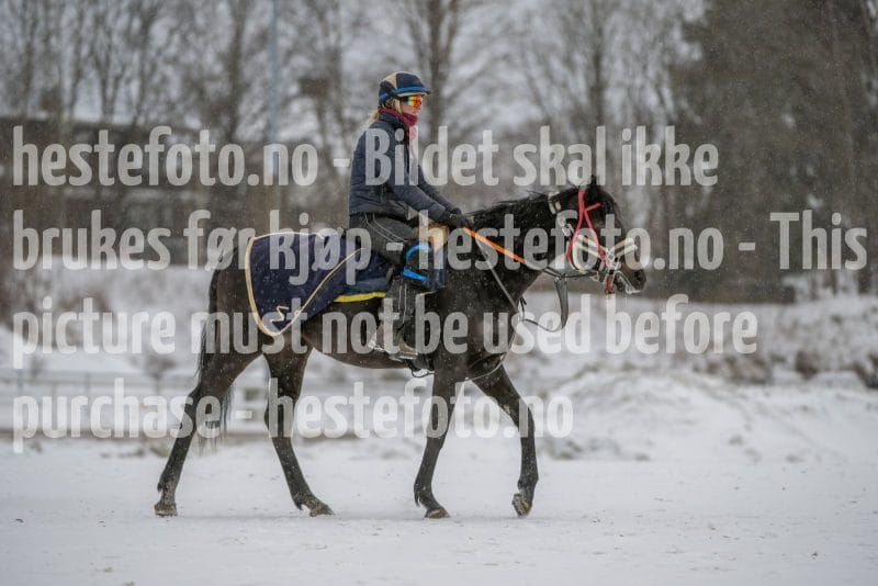 20260207-124309-DSC_3613