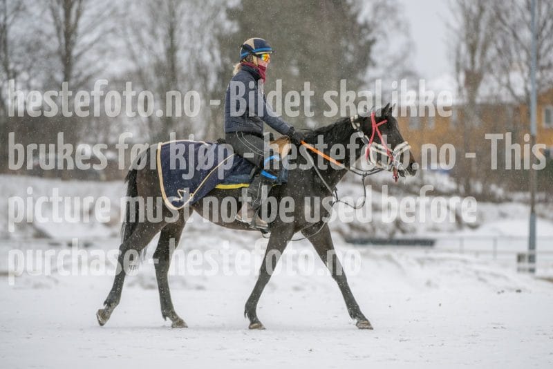 20260207-124311-DSC_3624