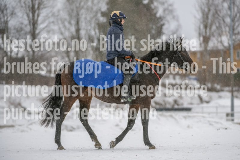 20260207-124318-DSC_3652