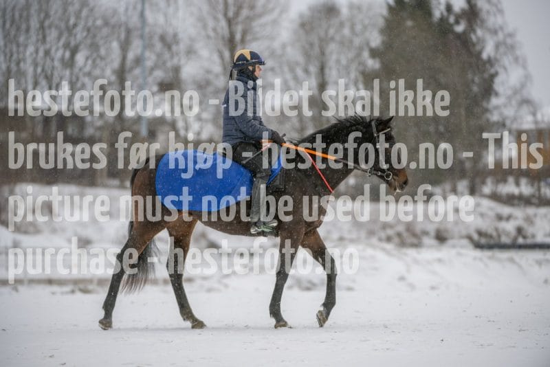 20260207-124317-DSC_3642