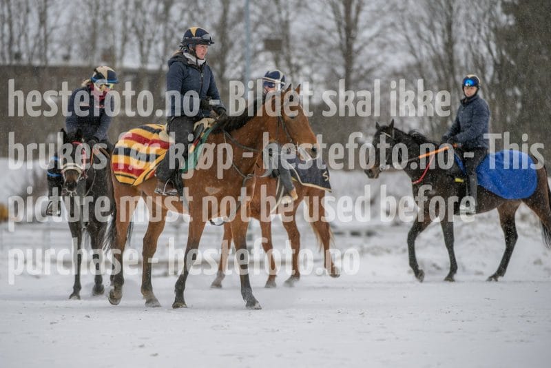 20260207-124346-DSC_3697