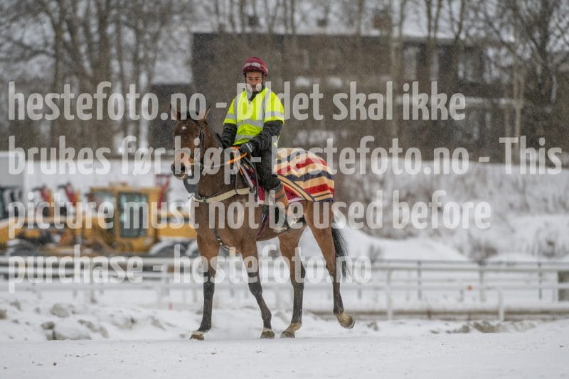 20260207-124404-DSC_3775